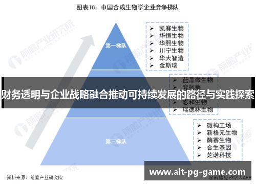 财务透明与企业战略融合推动可持续发展的路径与实践探索